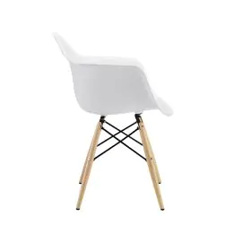 Simple Plastice Chair